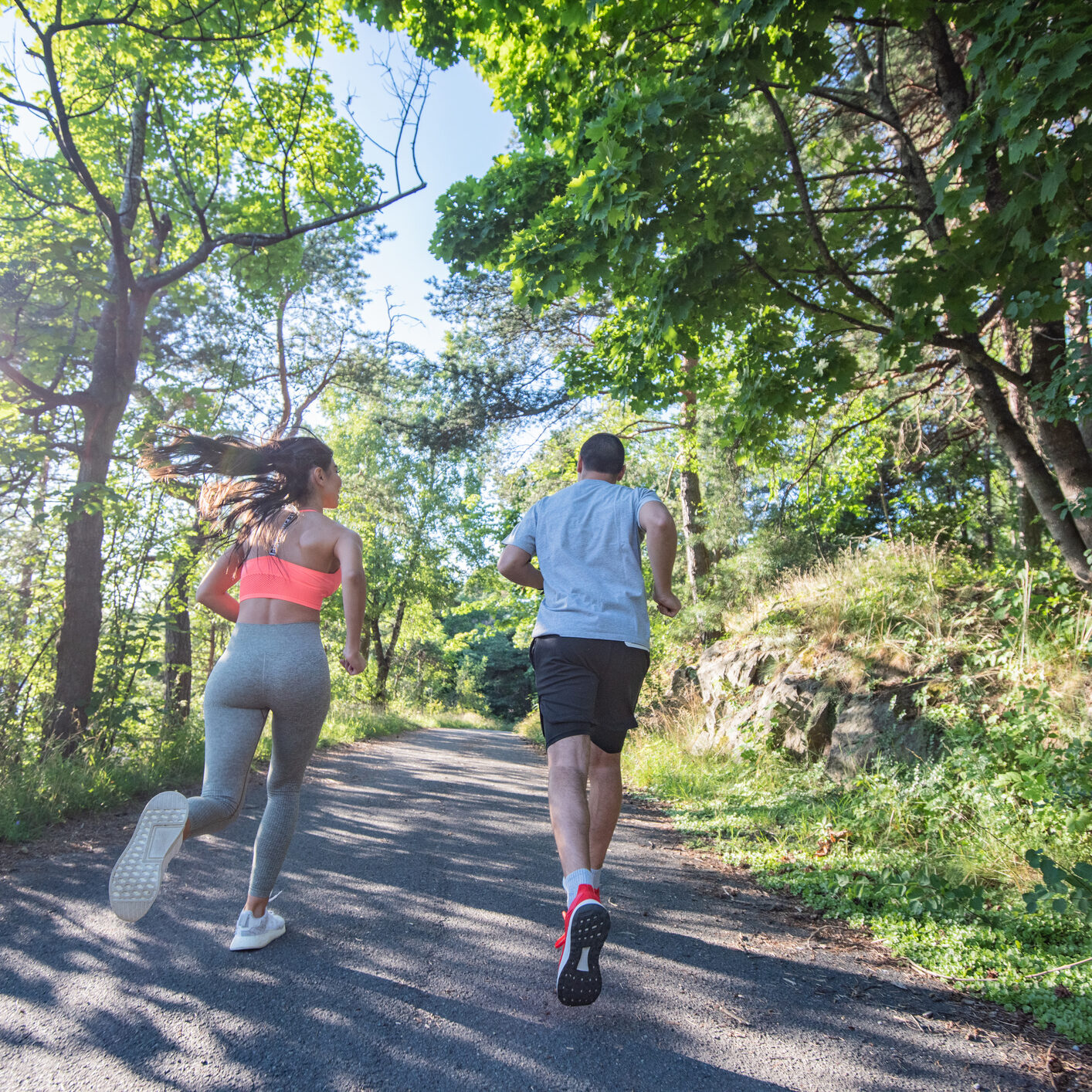 Two runners on sunlit forest trail